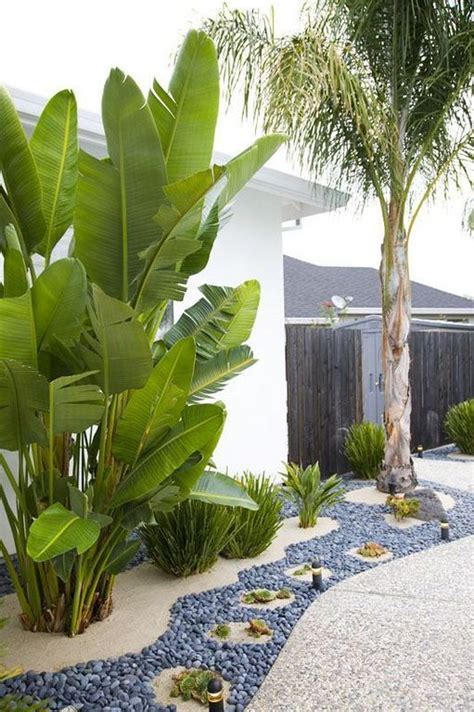 40 Best Tropical Gardening Ideas For Your Backyard Florida Landscaping