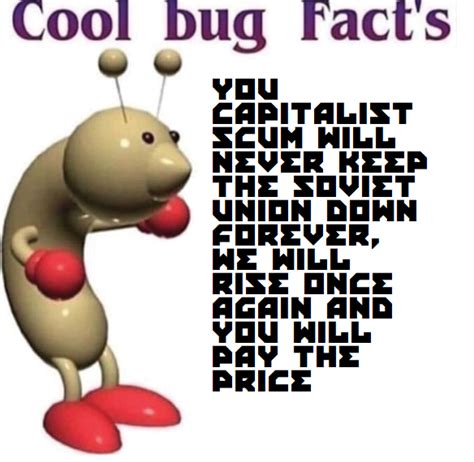 I Love Cool Bug Facts Rmemes