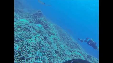 Dpv Diving Mahukona Hawaii Youtube