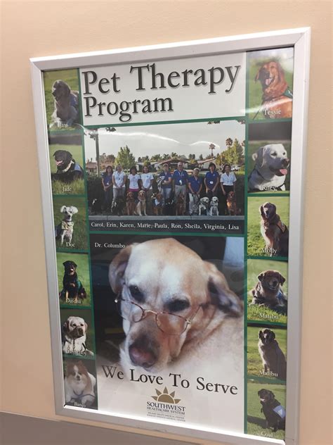 This hospital has a Pet Therapy Program, courtesy of Dr. Columbo : r/pics