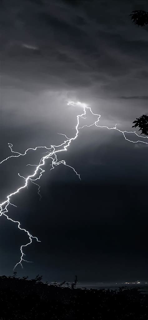 Lightning Strikes On Trees 4k Iphone 12 Wallpapers Free Download