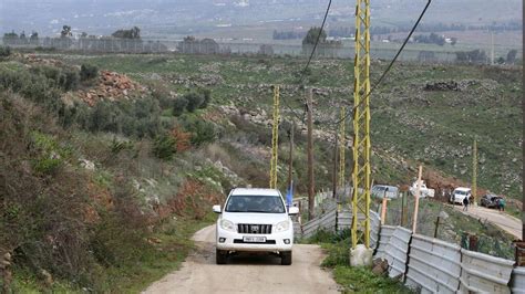 Too Close For Comfort Grazing Cows Lead To Squabble On Lebanese Israeli Border
