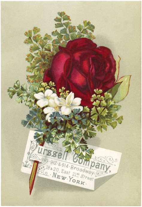 Beautiful Vintage Rose Advertisement Vintage Roses Clip Art Vintage