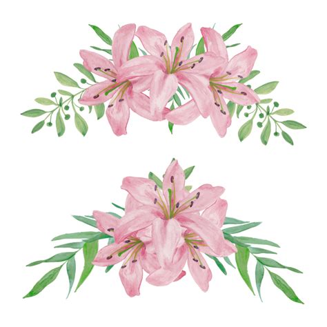 Ensemble D Arrangements De Fleurs Courbes Lys Rose Aquarelle Peint La