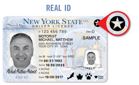 Real Id Compliant Licenses And Identification Cards Coming Otosection