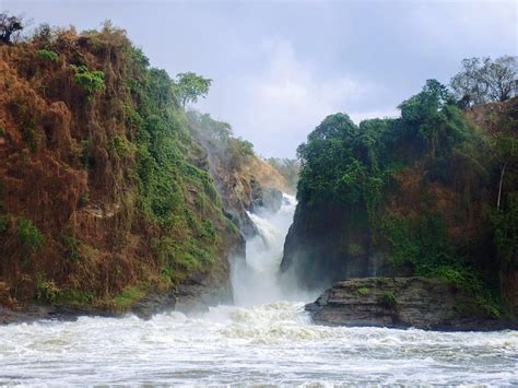 Visitors Guide To Murchison Falls National Park In Uganda Exploring Wild