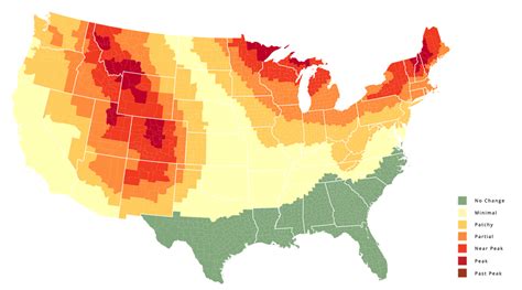This Map Tells You Exactly When The Trees Near You Will Change Color