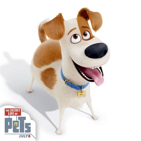 A Great Movie for all Ages: The Secret Life of Pets | The Paw Print