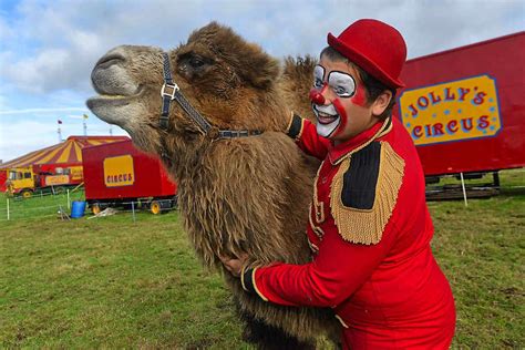 Circus Hits Back At Criticism Over Use Of Animals In Performances