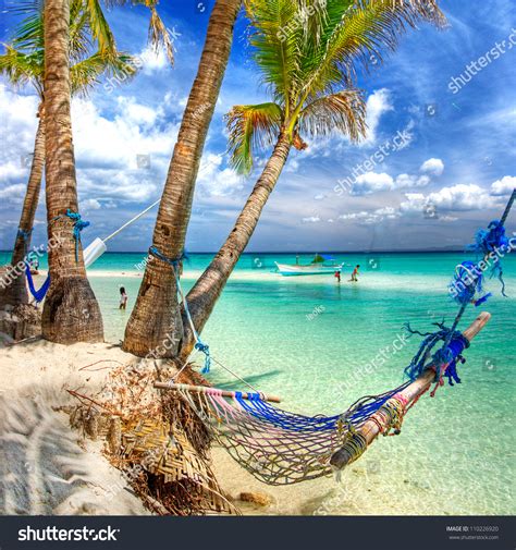 Tropical Scenery Hammock Stock Photo 110226920 Shutterstock