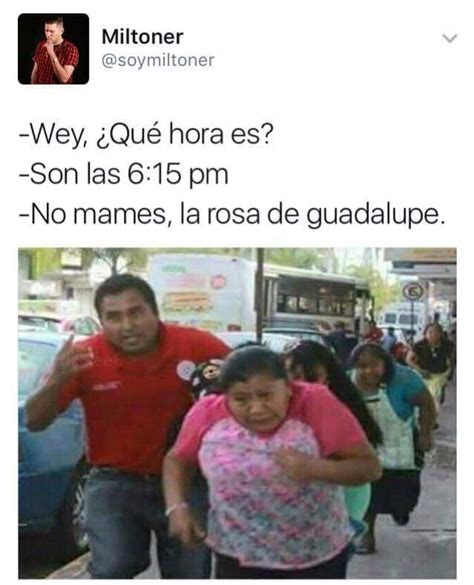 Memes Rosa De Guadalupe Funny Memes