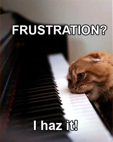 Frustration Cat I Haz It