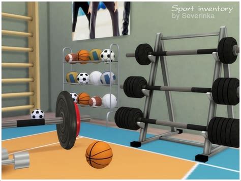 Set Of Objects Of Sports Equipment To Decorate The Gym Found In Tsr