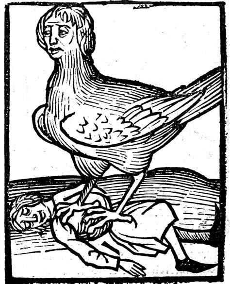 medieval woodcuts for every occasion pomegranate magazine woodcut tattoo woodcut art