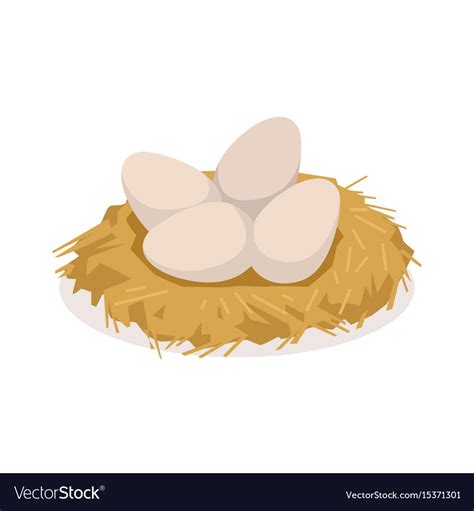 Chicken Eggs In Nest Poultry Breeding Royalty Free Vector