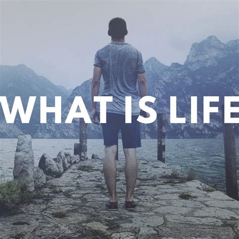 What is Life #WIL - YouTube
