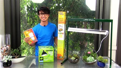 With a magnifying lens on every bulb, you get the red and blue lights offer the best contribution to photosynthesis, and the roleadro led grow light makes it easy to assure your succulents are getting the nutrients they. 3 Convenient Grow Lights for Succulent Terrariums - YouTube