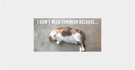 Confused Cats Against Feminism Quand Les Chats Ridiculisent Les Anti Féministes Terrafemina