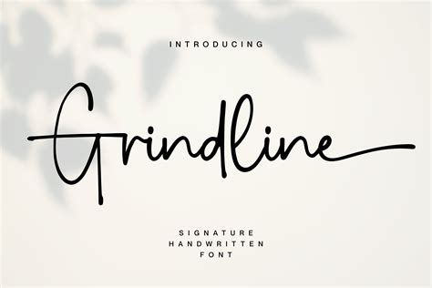 Grindline Font Script Fonts Creative Market