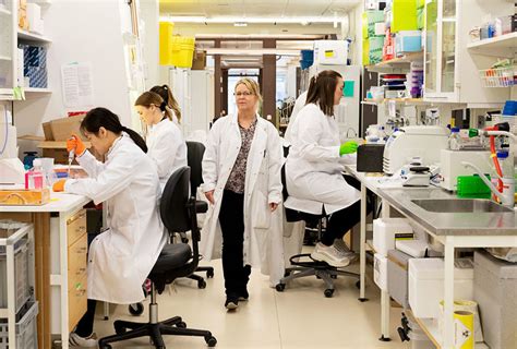 Científicos Suecos Desarrollan Un Test Para El Coronavirus Con Una