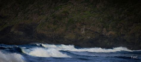 Surf Blinky Beach Lord Howe Island By Timc Redbubble