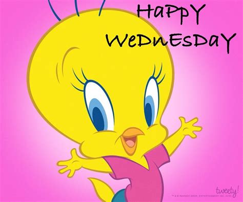 Happy Wednesday Cute Cartoon Pictures Bird Pictures Cartoon Images