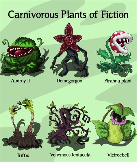 Carnivorous Plants Of Fiction Oc Enjoy Rcarnivorousplants