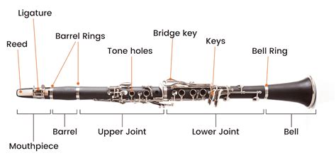 Parts Of A Clarinet The Anatomy Explained 2024