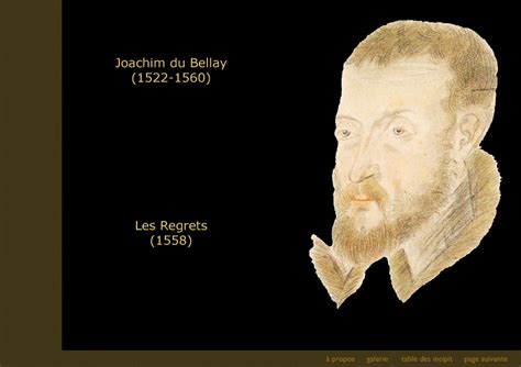 Joachim Du Bellay Les Regrets