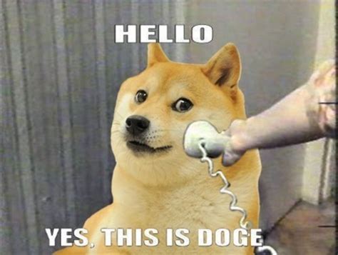 Know Your Dog Memes Modern Dog Magazine