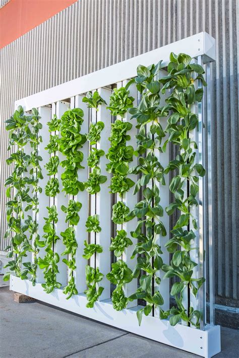 No green thumb required, fully automated. How To Create a Vertical Garden Inside Your Home