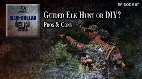 Guided Elk Hunt Or Diy Pros And Cons Youtube