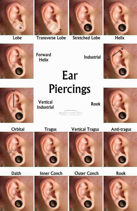 ear piercing healing time chart