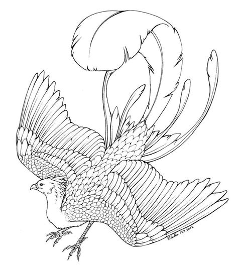 The phoenix rising from the ashes is an impressive image in western culture. Phoenix coloring pages - coloringtop.com | birds coloring ...