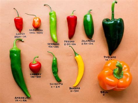 From The Competition To Your Kitchen Chile Pepper Cheat Sheet
