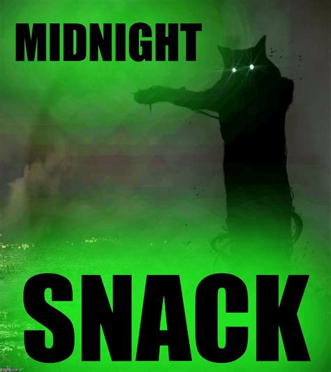 When The Cat Is Hungry At Night Imgflip