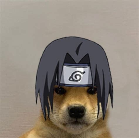 Pin By Dante On Icon De Doguinho Dog Icon Anime Animals Dog Memes