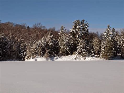The property.was beautiful and the cabin setting was quiet lovely. The Beaver Pond Cabin - Val-des-Monts Cottage Rental | GL ...