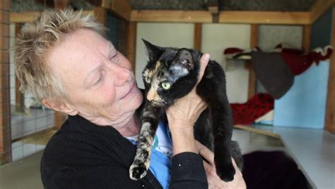 Cats Re Homed At Sapphire Coast Rspca Adoption Day Bega District News