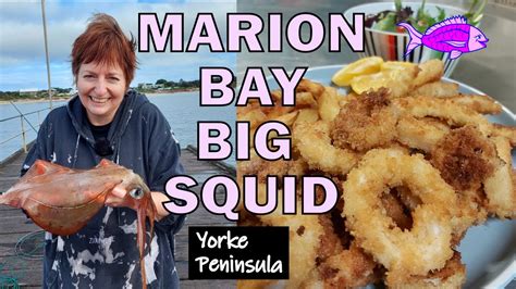 Fishing For Squid Marion Bay Jetty Jetty Squidding YouTube