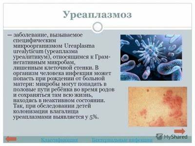 Половые инфекции у мужчин: основные симптомы и принципы лечения - Все Картинка - Половые инфекции у мужчин: основные симптомы и принципы лечения - Все