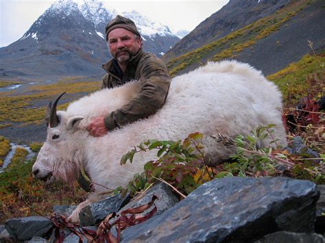 Alaska Mt. Goat Hunting - Guided Goat Hunts by Vast Alaska
