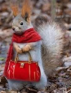 Image result for Lady Squirrel