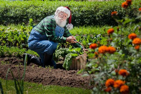 Calvin Finch Christmas T Ideas For The Gardener On Your List