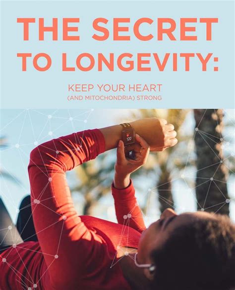 The Secret To Longevity Keep Your Heart And Mitochondria Strong
