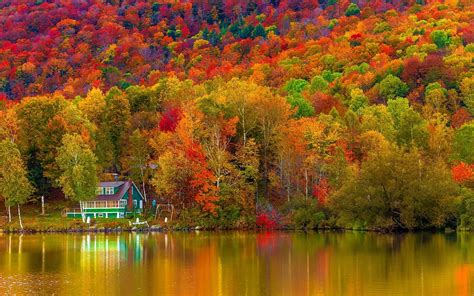 Download Forest Fall Lake Man Made House Hd Wallpaper