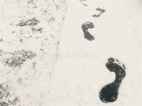Bare Feet On The Snowy Surface Stock Photo Image Of Barefoot
