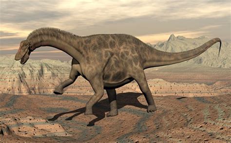 Dicraeosaurus Pictures And Facts The Dinosaur Database