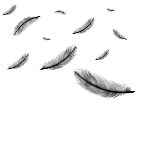 Feathers clipart royalty free, Feathers royalty free ...