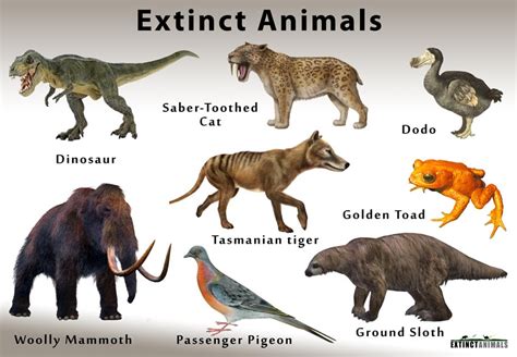 An Image Of Animals That Are Extinct In The Wild